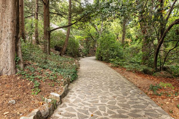 Stone Walkway Repair in Wentzville