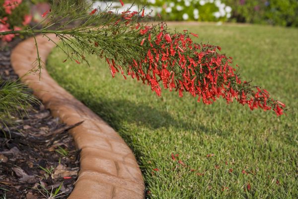Brick Edging in Wentzville